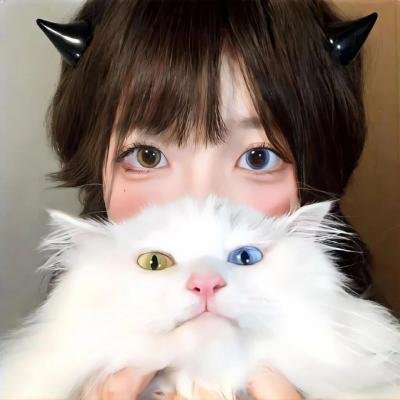 火影忍者疾风传剧场版:羁绊